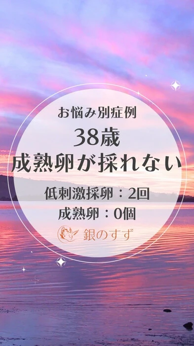 画像273