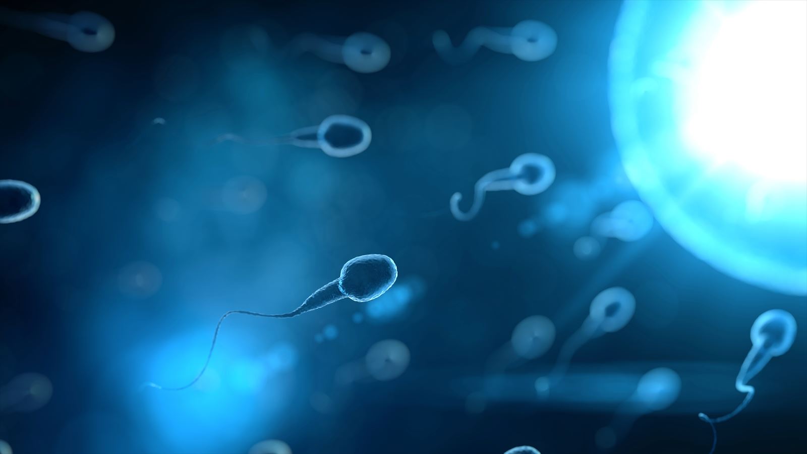 男性不妊の原因とその対策