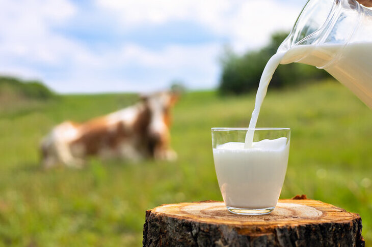 【中央区銀座】牛乳を飲むと不妊になることがあるって本当？《銀のすず》2025.12.14