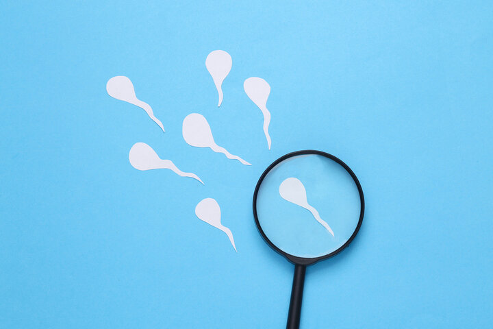 不妊治療の新たなアプローチ！精子の質を高める鍼灸ケア
