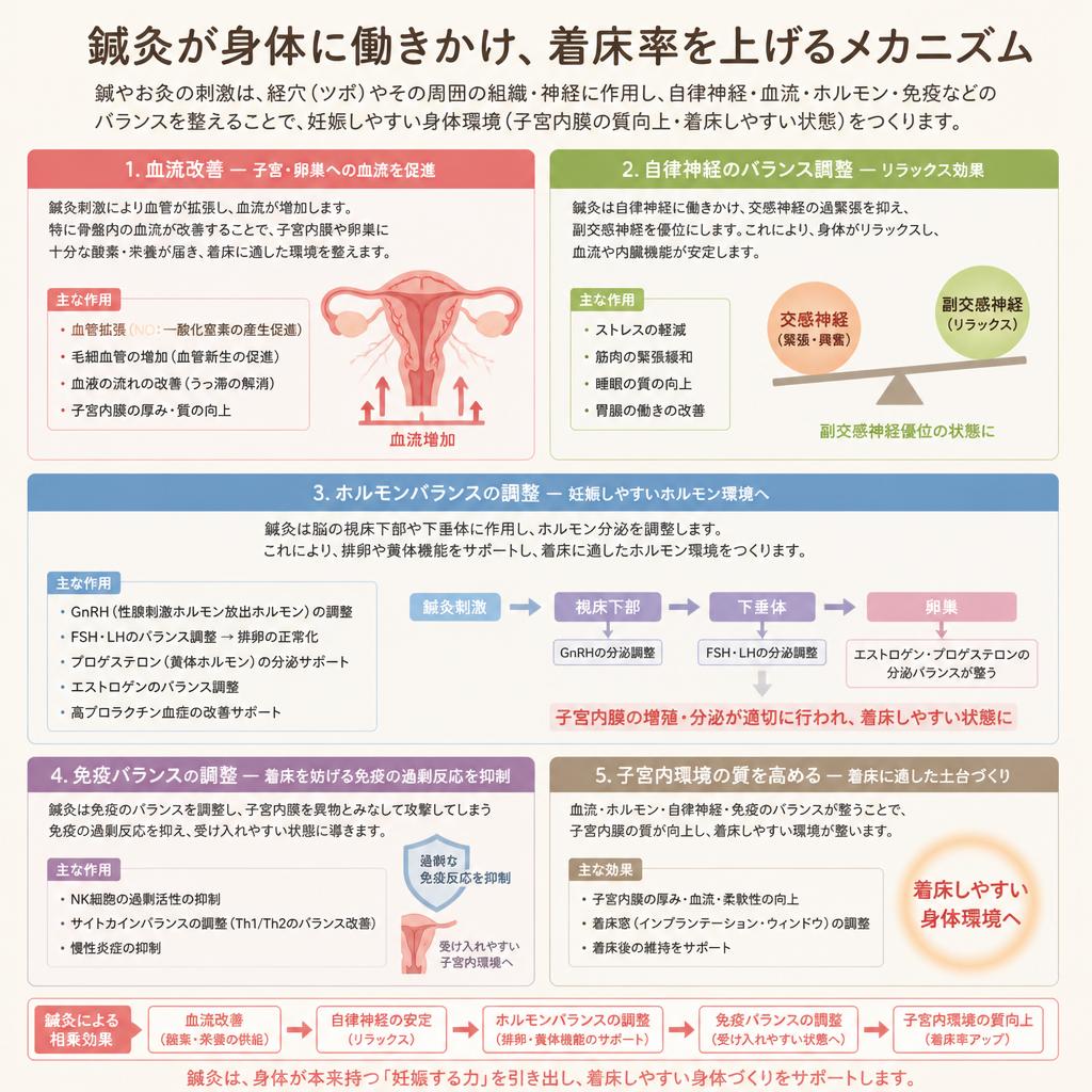鍼灸の効果と利点
