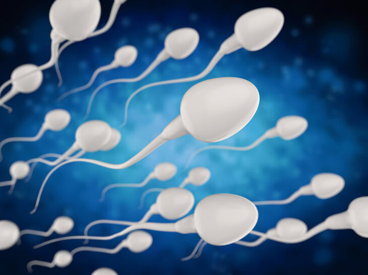 【中央区銀座】精子を育む3つの身体づくり  ― 鍼灸・生活習慣・栄養で支える男性妊活 ―《銀のすず》