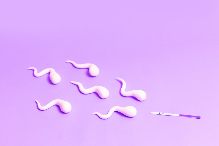 精子の運動率を高めるカギはミトコンドリアにあり！