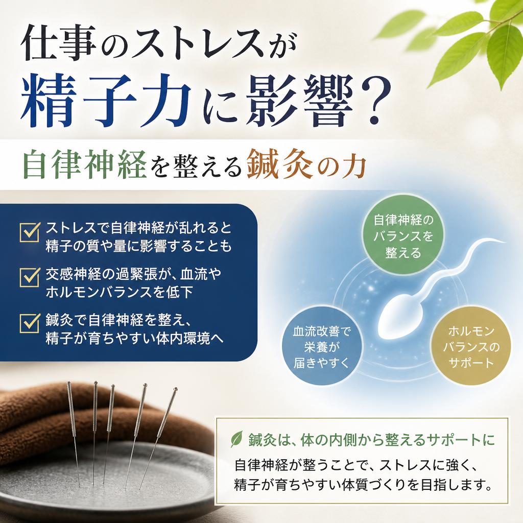 仕事のストレスが精子力に影響？自律神経を整える鍼灸の力
