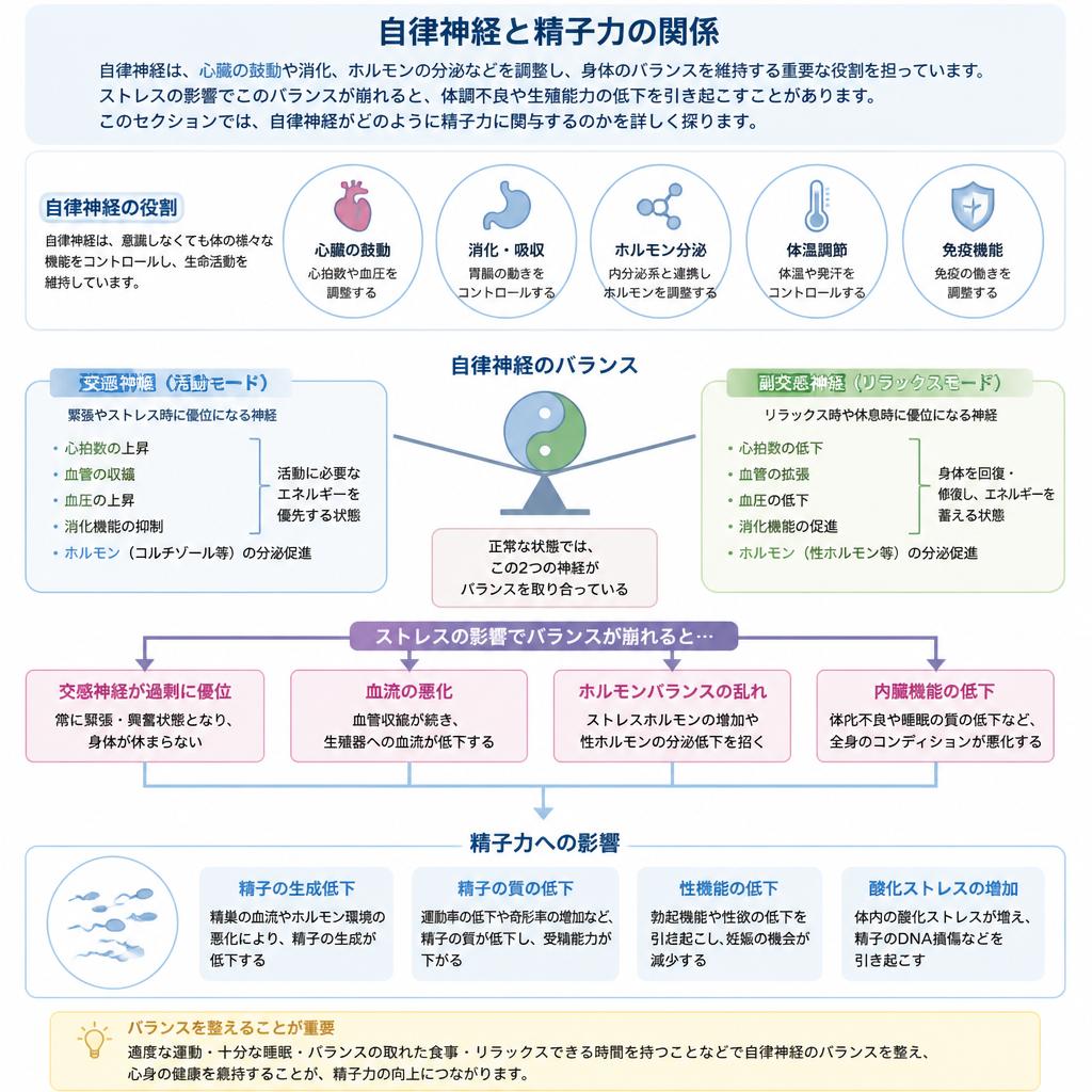 自律神経とその重要性