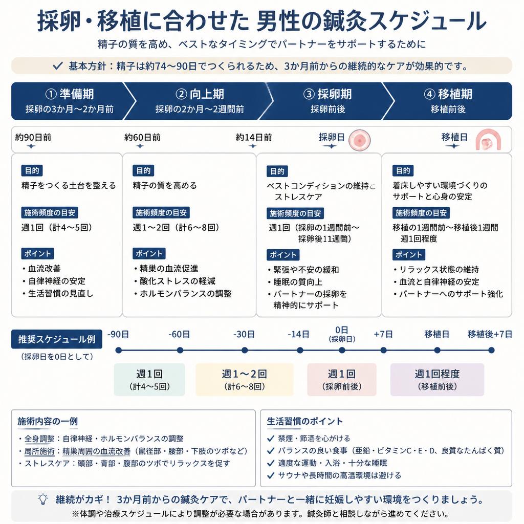 男性向け鍼灸スケジュール