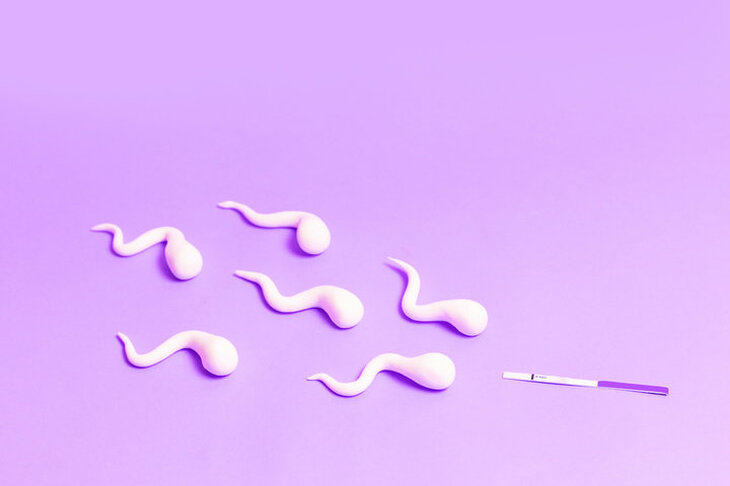 【中央区銀座】精子を育む3つのケア  ― 鍼灸・栄養・生活習慣で支える男性妊活 ―《銀のすず》
