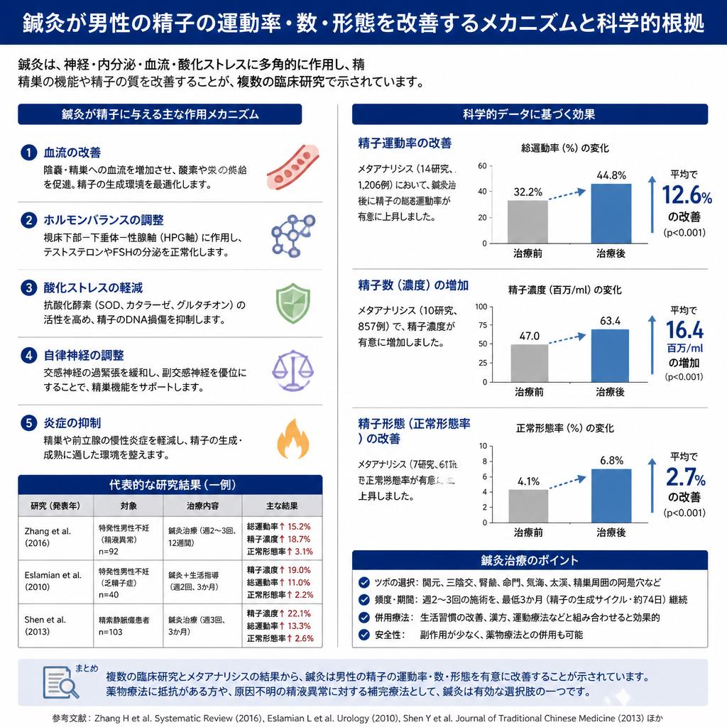 鍼灸が精子に与えるポジティブな影響