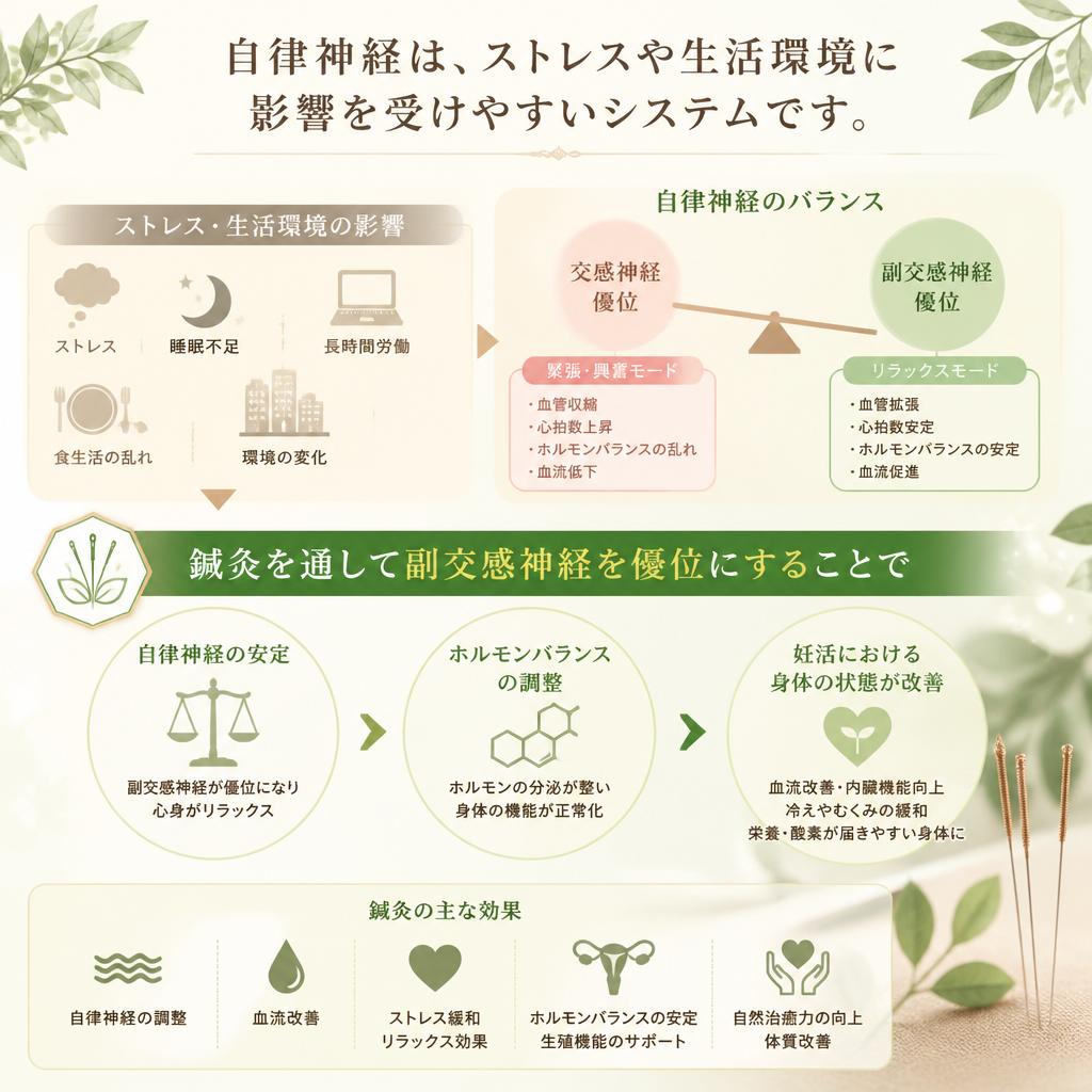 自律神経と妊活の関係