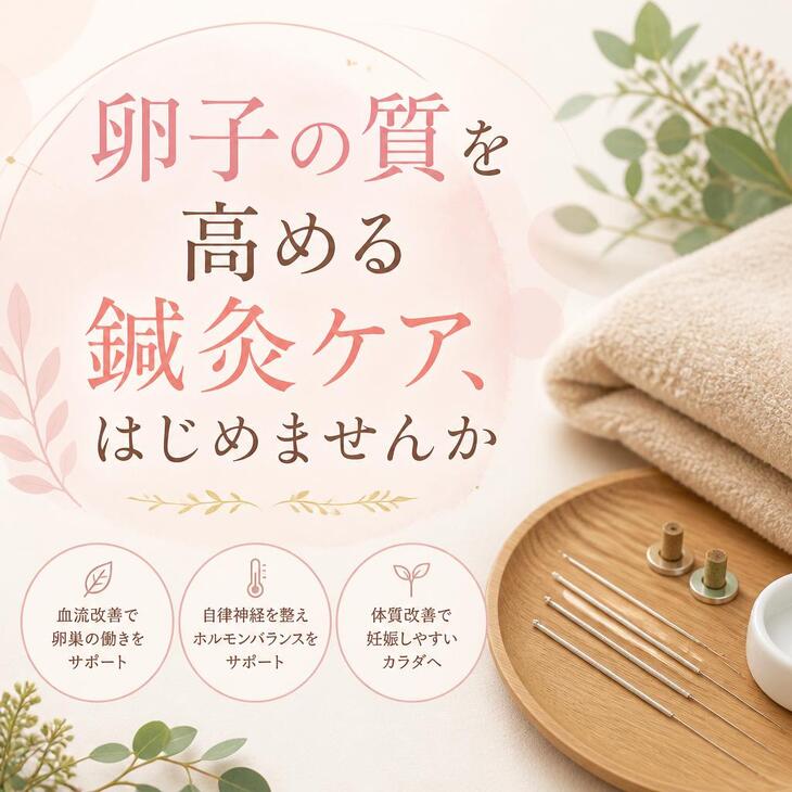 卵子の質を高める鍼灸ケア、はじめませんか～銀座の鍼灸院～