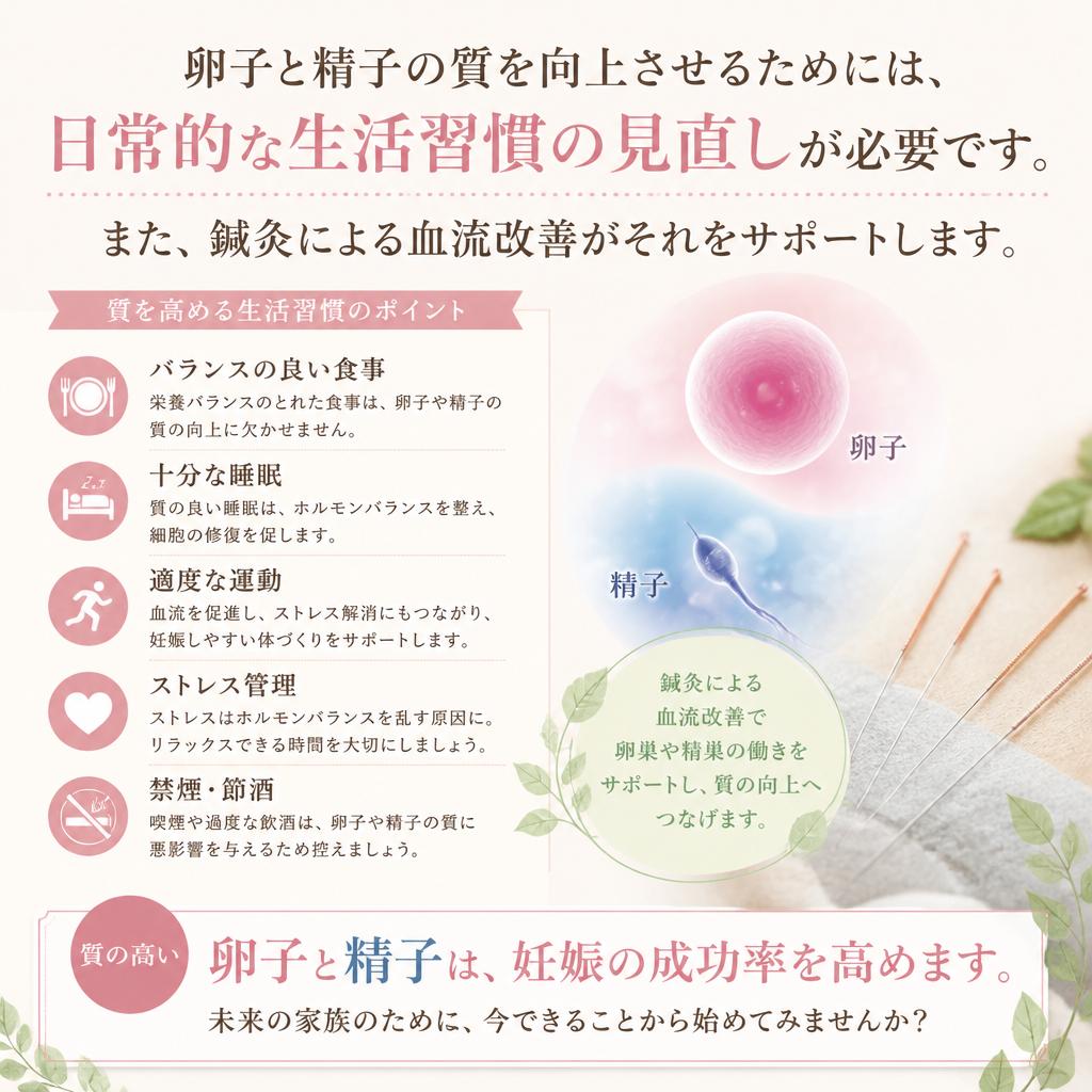 卵子と精子の質を高める
