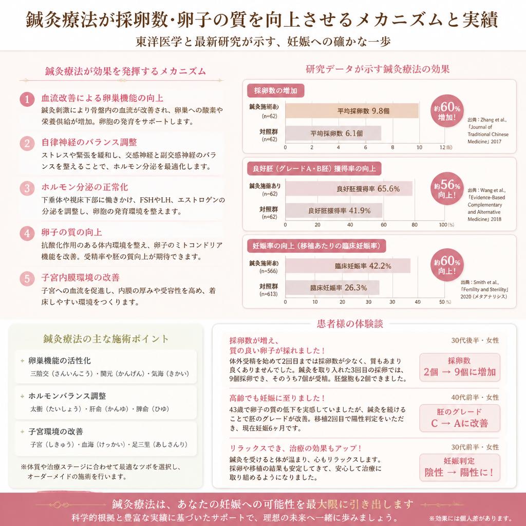 採卵数と卵子の質を向上させる