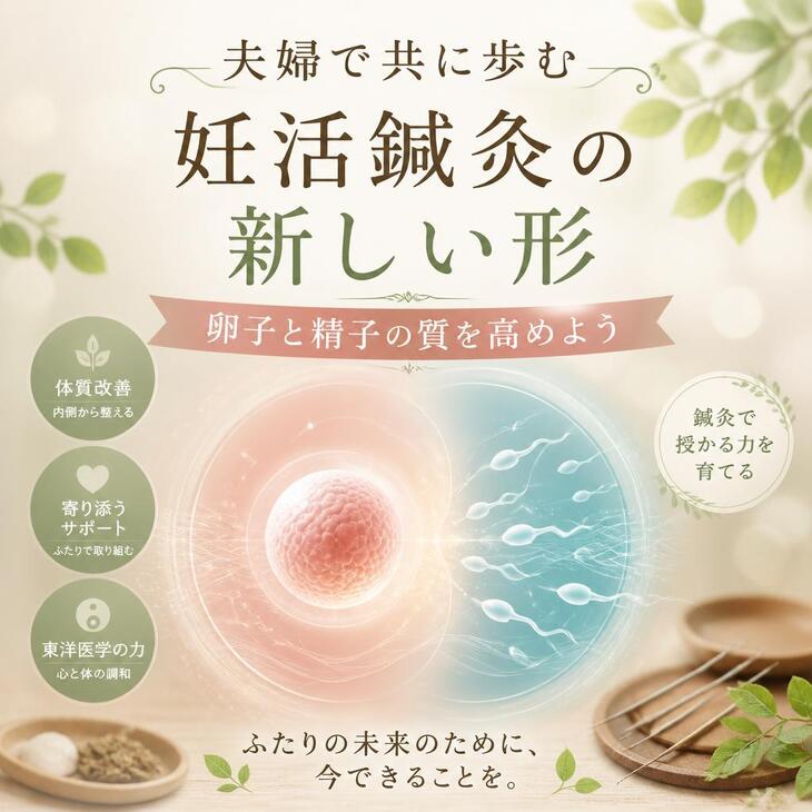 夫婦で共に歩む妊活鍼灸の新しい形、卵子と精子の質を高めよう