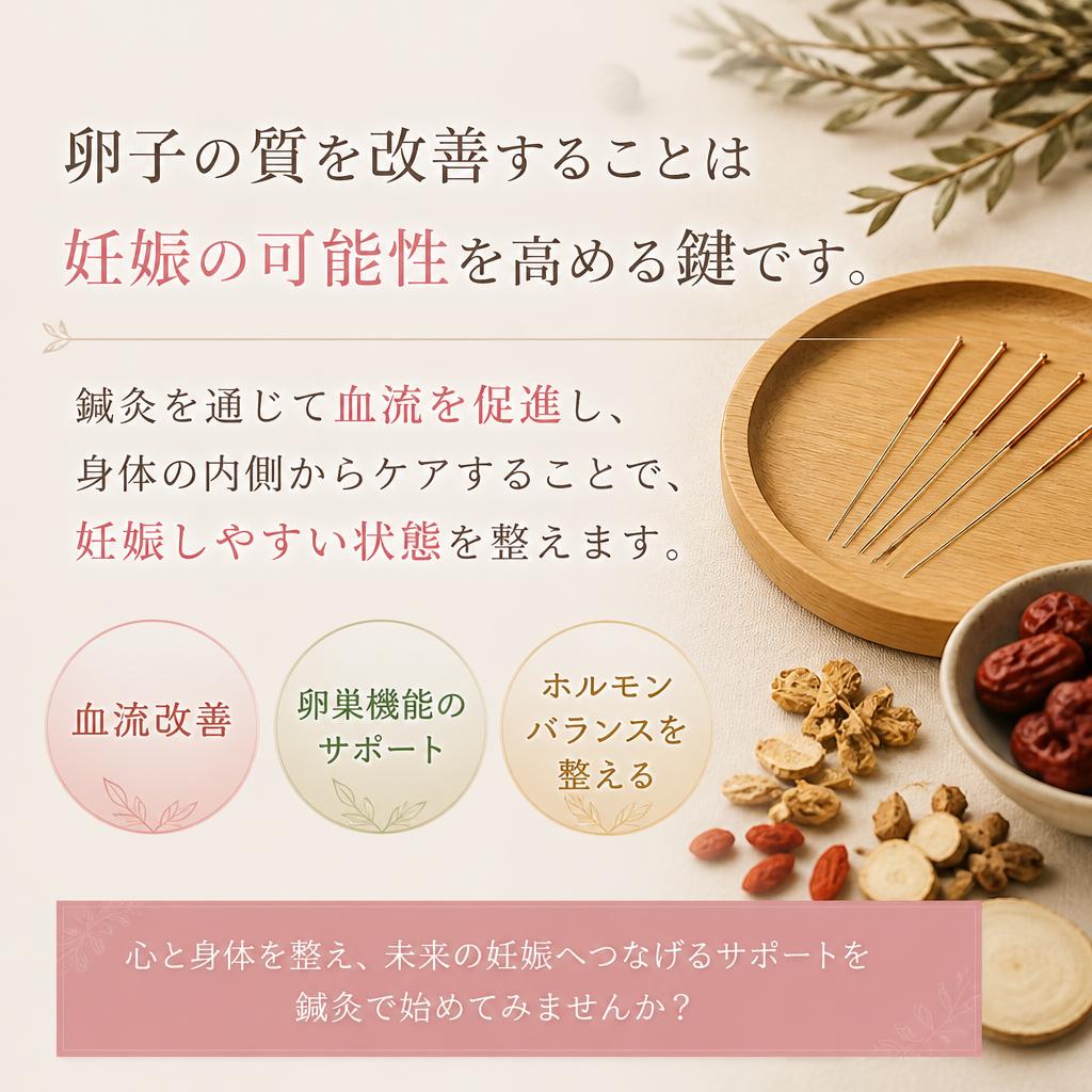 効果的な卵子の質向上